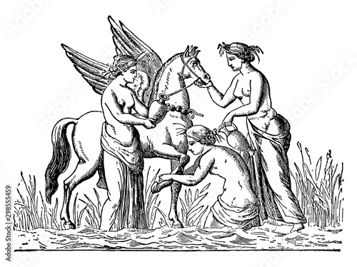 Pegasus and the Nymphs vintage illustration.