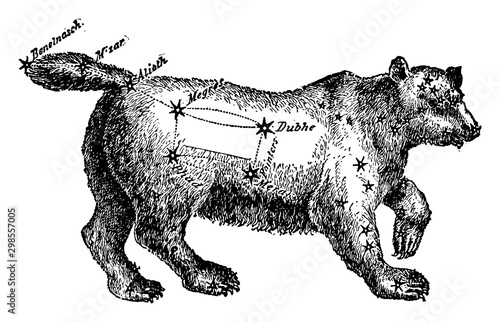 Ursa Major vintage illustration.