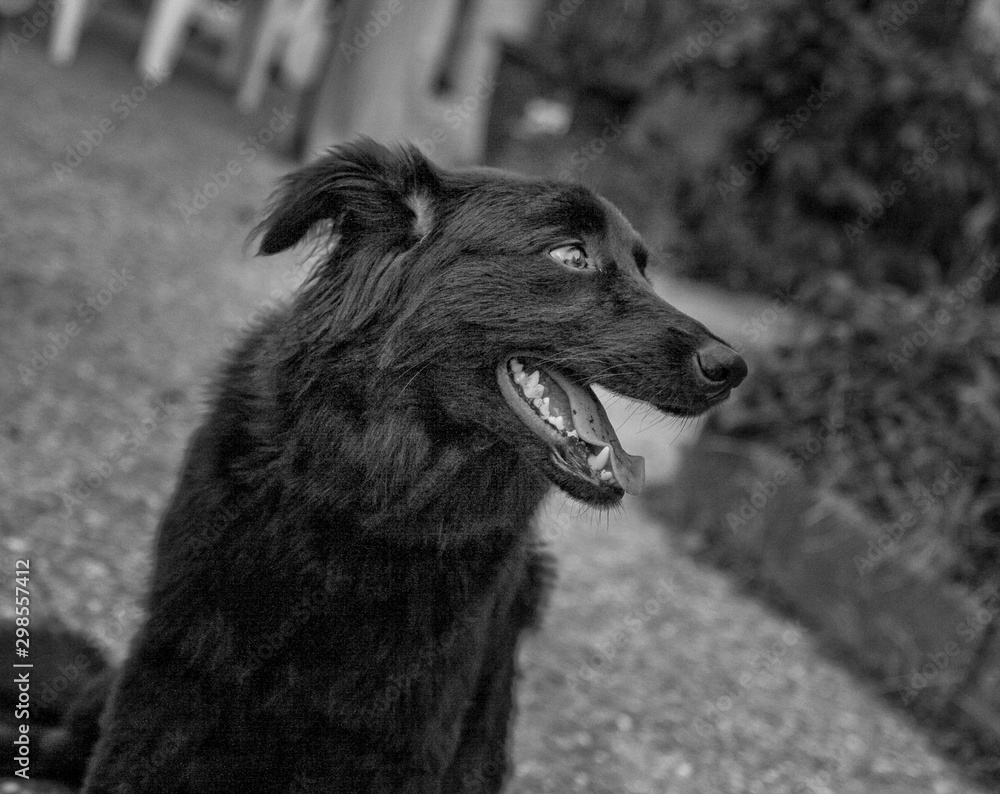 Fototapeta premium je le cherche