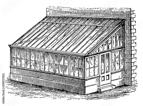 Plant House vintage illustration.