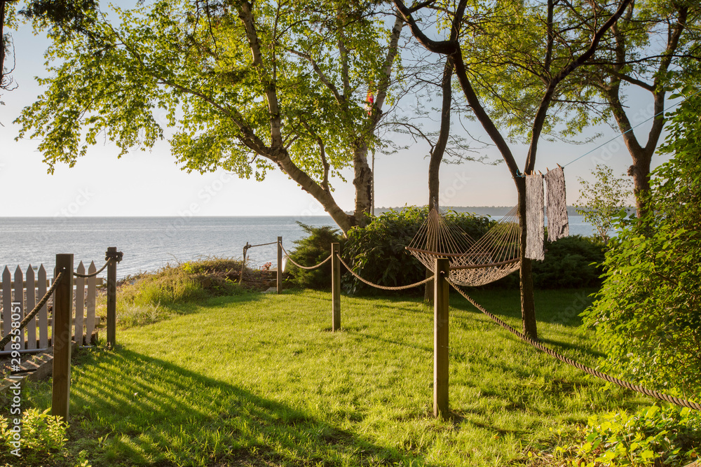 hammock in the trees looking at the water in the summer hammock in the trees looking at the water in the summer