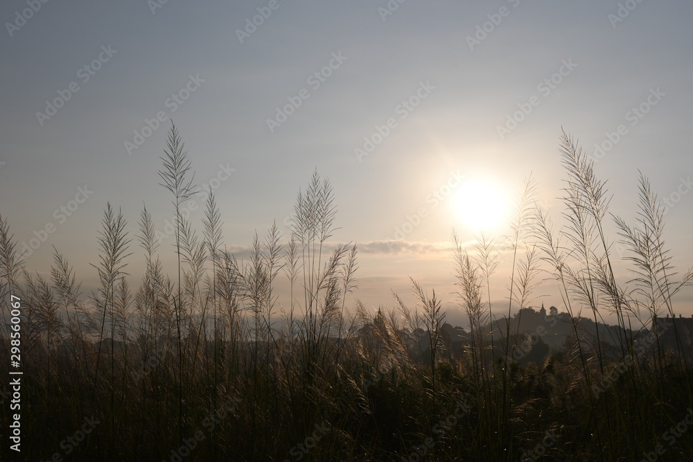 Fototapeta premium fog in mountains