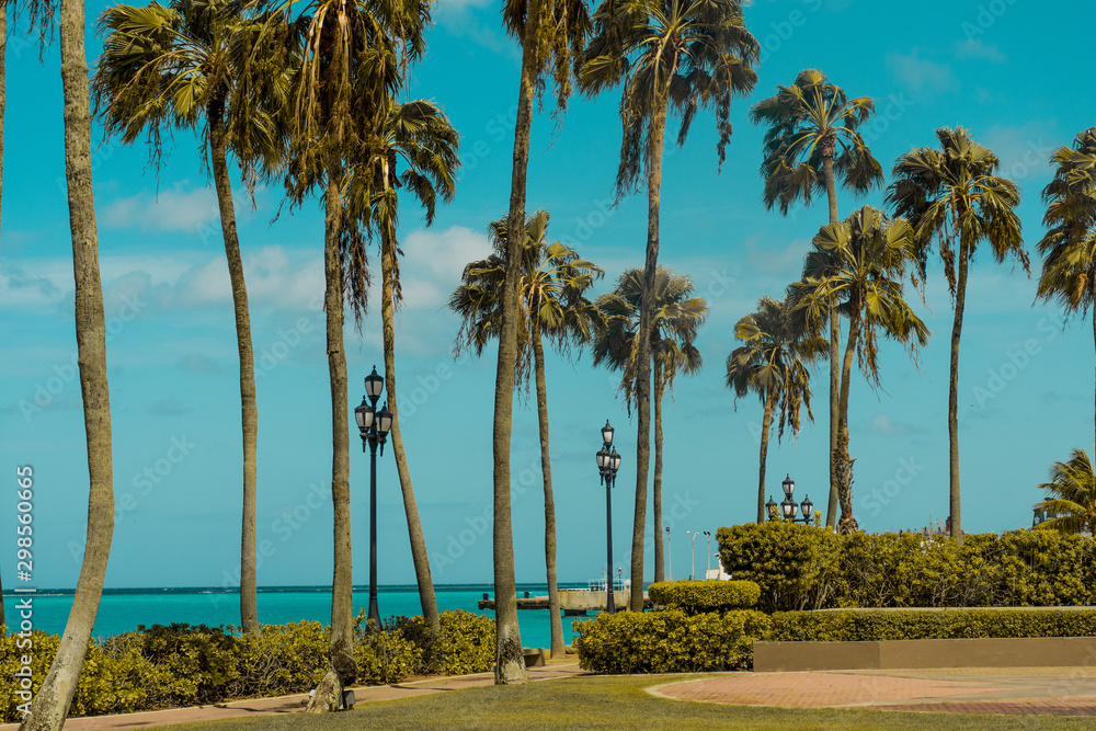 Playa de palmeras