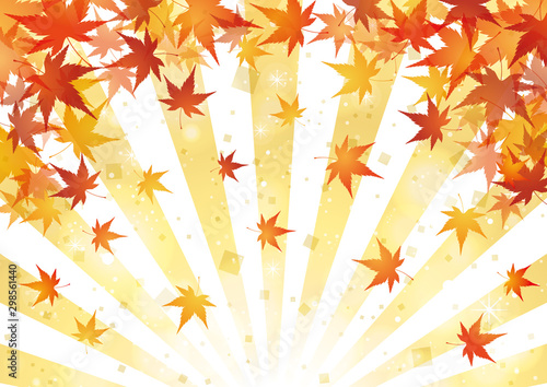 紅葉　秋　集中　放射　背景