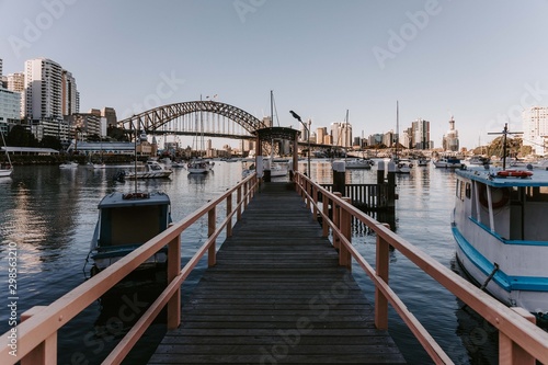 sydney harbour sunrise