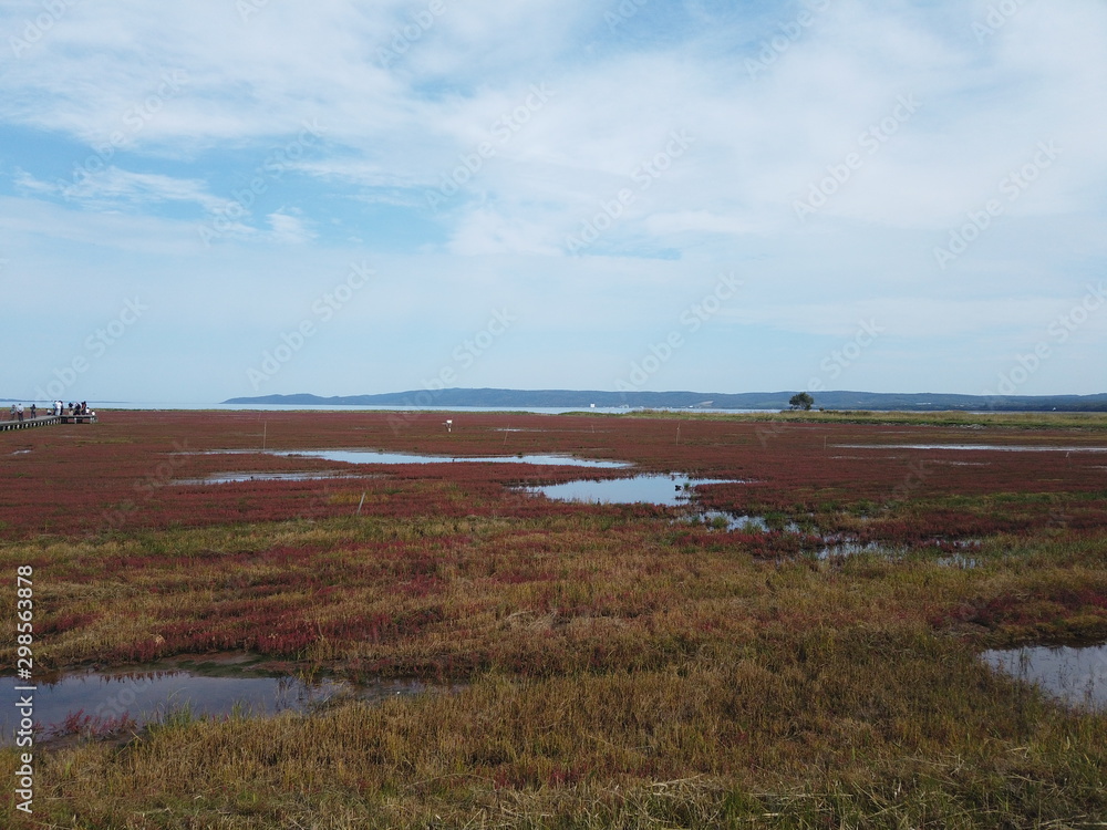 日本国北海道の秋の赤い苔の湖 Stock Photo Adobe Stock 日本国北海道の秋の赤い苔の湖 Stock Photo Adobe Stock