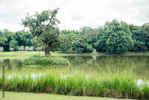 a peaceful pond in Chiang Lai in Thailand