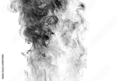 Fototapeta Naklejka Na Ścianę i Meble -  Abstract Blurred of black smoke movement over white background for your abstract design.
