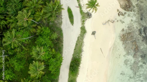Wallpaper Mural Aerial view  of tropical beach.Samana peninsula,Playa(beach) Rincon beach,Dominican Republic. Torontodigital.ca