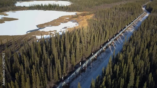 High angle truck shot of an industrial oil pipeline running through lush green forest in the Alaskan Interior, Alaska photo