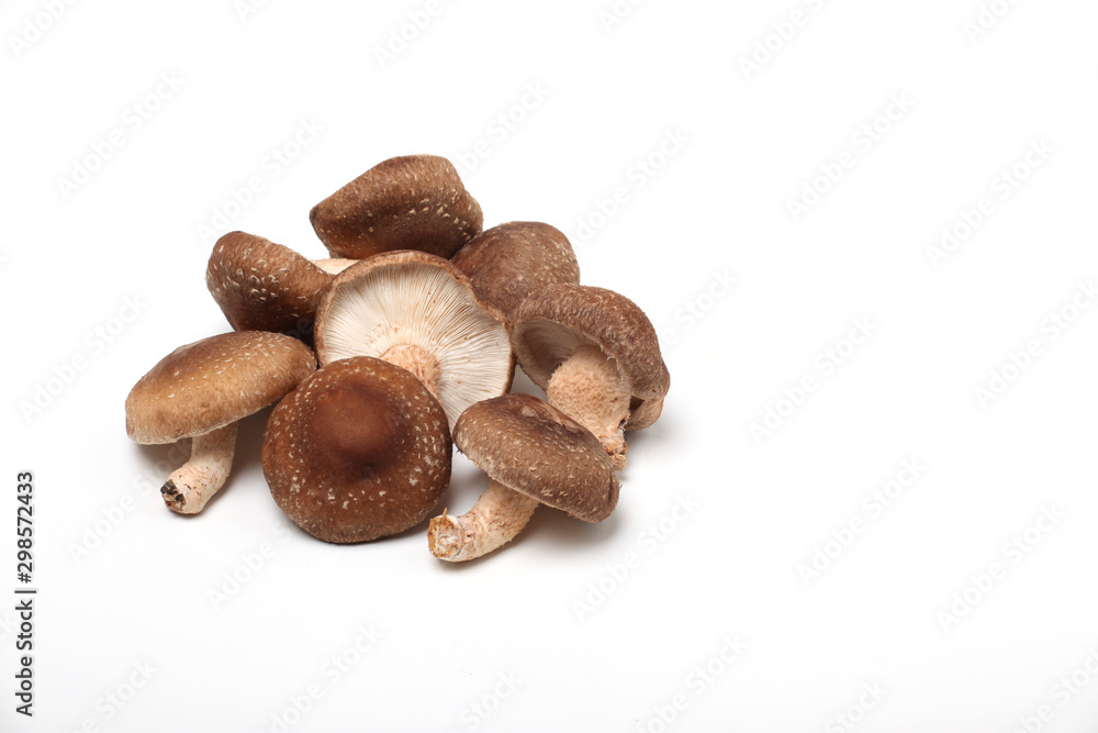 しいたけ,椎茸 しいたけ,椎茸