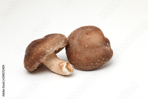 しいたけ,椎茸