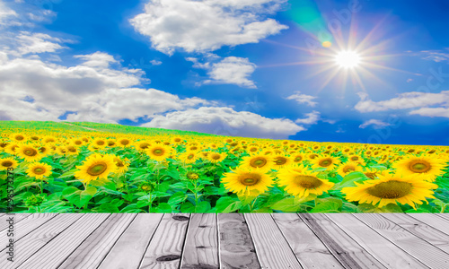 Beautiful nature background old Wooden terrace table on blurry Wonderful nature landscape panorama view of Sunflower field on sunset.can be used for display or montage your products top.