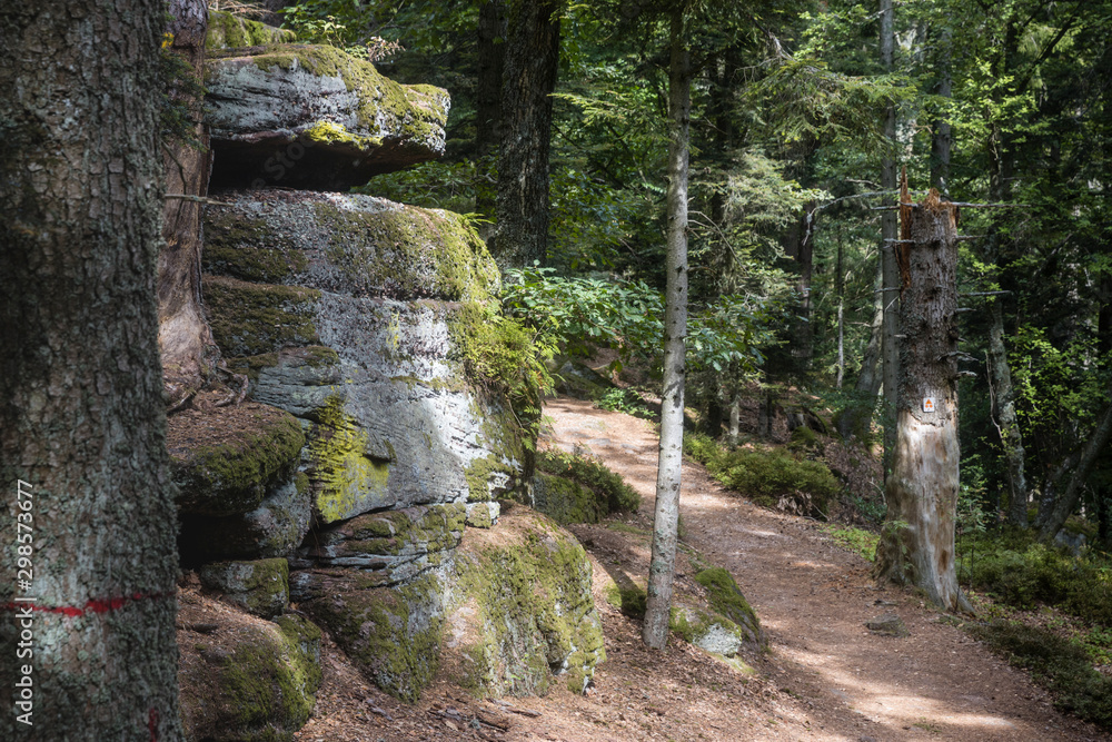 Hiking GR5 through the Vosges Hiking GR5 through the Vosges