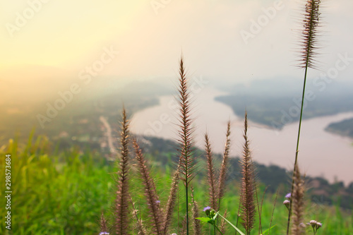 Beautiful of Meadow and blur landscape View Mekong River background in the evening from above, Nong khai Thailand.