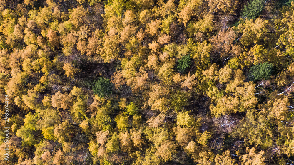 Top view of the taiga forest, river, road . The vast expanses of Eastern Siberia. far East Russia Top view of the taiga forest, river, road . The vast expanses of Eastern Siberia. far East Russia