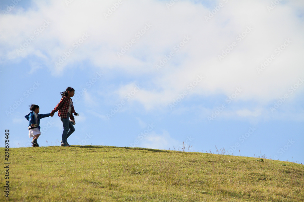 Siblings walking hand in hand on a hill in the meadow Siblings walking hand in hand on a hill in the meadow