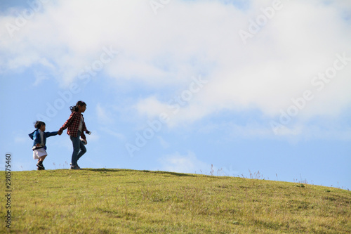 Siblings walking hand in hand on a hill in the meadow