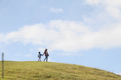 Siblings walking hand in hand on a hill in the meadow