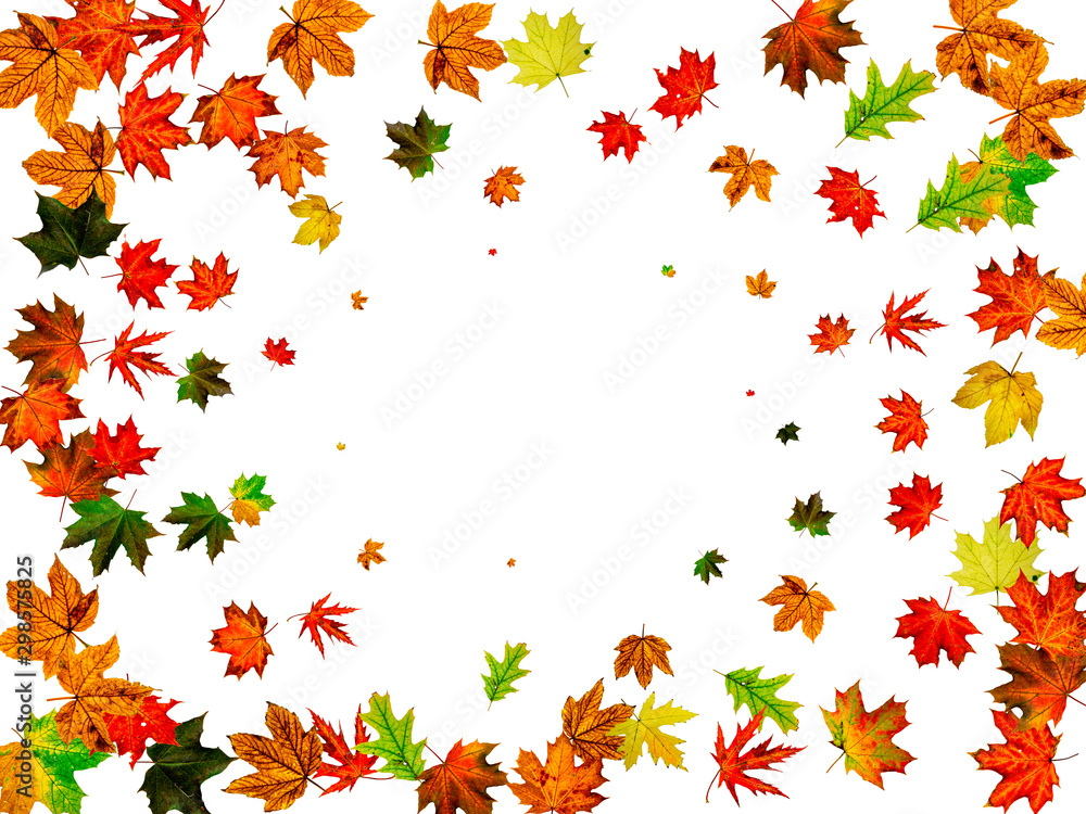 Autumn leaf background. November falling pattern. Thanksgiving season concept