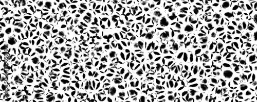 Black and white floral wall pattern texture background