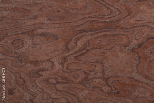 Perfect brown elm-tree veneer background as part of your design. High quality wood texture.