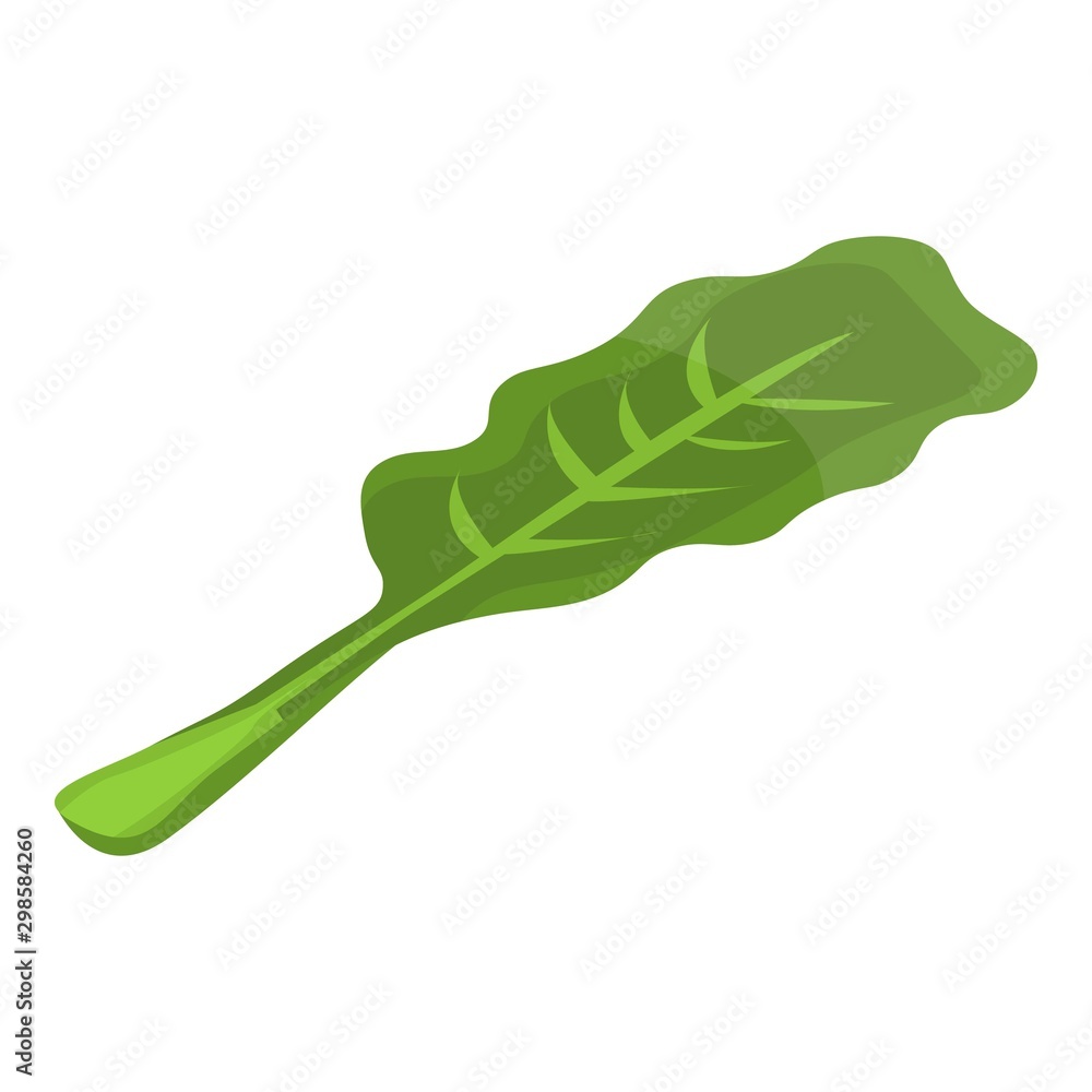 Cabbage leaf icon. Isometric of cabbage leaf vector icon for web design isolated on white background Cabbage leaf icon. Isometric of cabbage leaf vector icon for web design isolated on white background