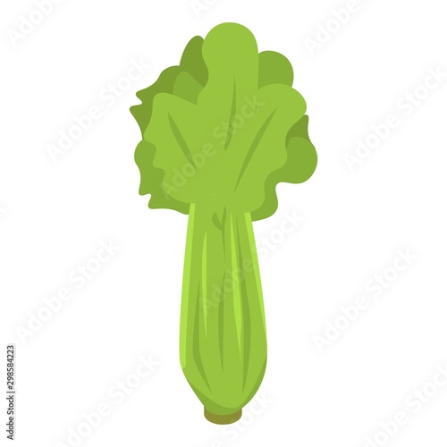 Celery leaf icon. Isometric of celery leaf vector icon for web design isolated on white background