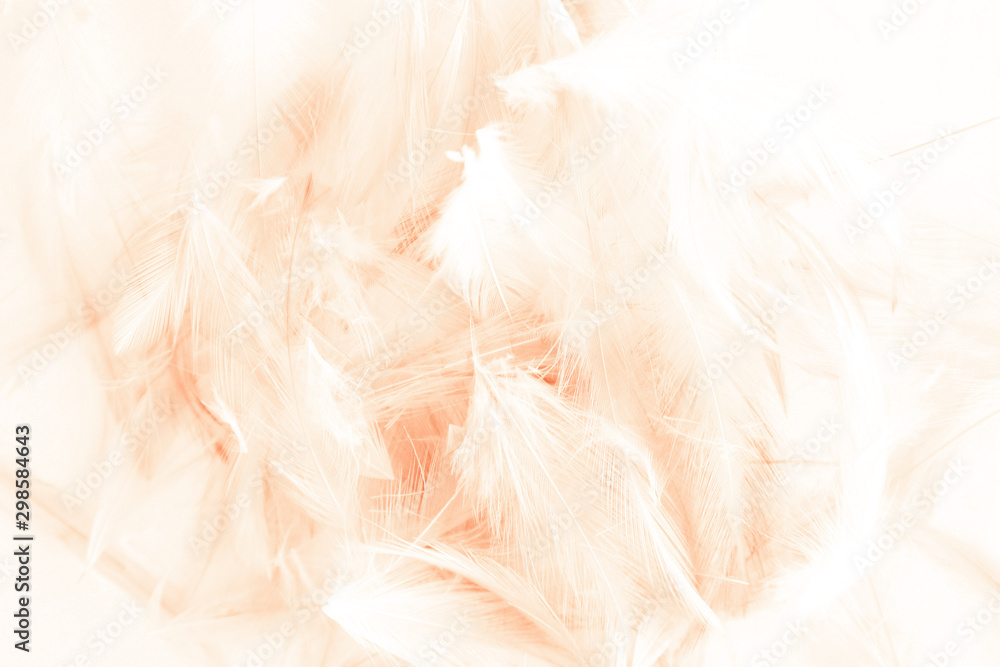 Obraz premium Beautiful abstract yellow and brown feathers on white background and colorful soft orange feather texture