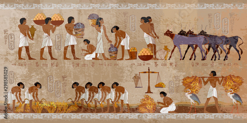 Life in ancient Egypt, frescoes. Egyptians history art. Agriculture, workmanship, fishery, farm. Hieroglyphic carvings on exterior walls of an old temple