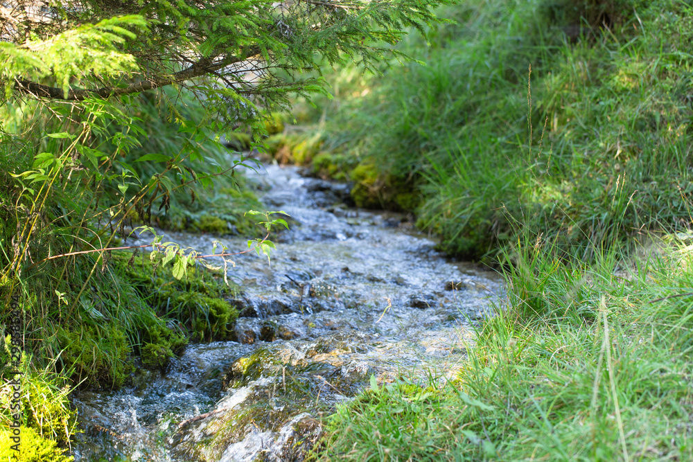 Fluss Fluss