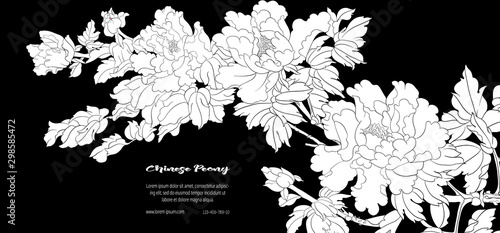 Peony tree branch with flowers in the style of Chinese painting on silk Template for wedding invitation, greeting card, banner, gift voucher, label. Black and white vector illustration..