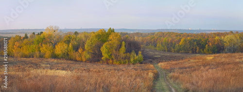 Deciduous forest and adjacent meadow in autumn time. Autumn background.
