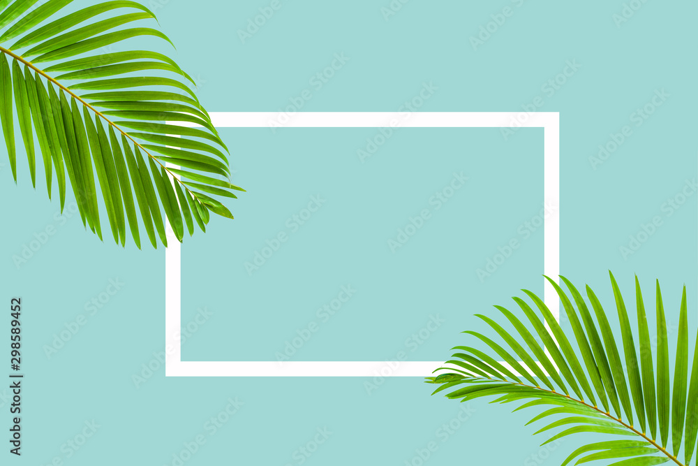 Fototapeta Naturalny palmowy liść z biel ramą na pastelowym błękitnym tle, natury tło