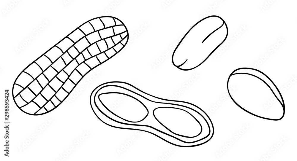Vector black and white peanut icon. Set of isolated monochrome nuts. Food line drawing illustration in cartoon or doodle style isolated on white background.. Vector black and white peanut icon. Set of isolated monochrome nuts. Food line drawing illustration in cartoon or doodle style isolated on white background..