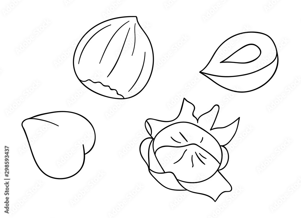 Vector black and white hazelnut icon. Set of isolated monochrome nuts. Food line drawing