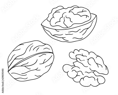 Vector black and white walnut icon. Set of isolated monochrome nuts. Food line drawing illustration in cartoon or doodle style isolated on white background..
