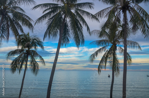 Picturesque tropical seascape with Palm trees, Thailand.