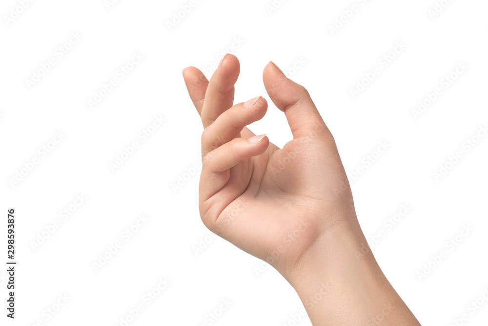 Beautiful female hand isolated on white background