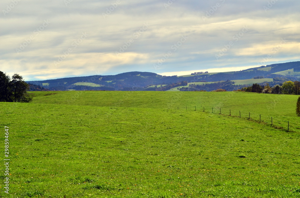 Grüne Wiesen im Schwarzwald Grüne Wiesen im Schwarzwald