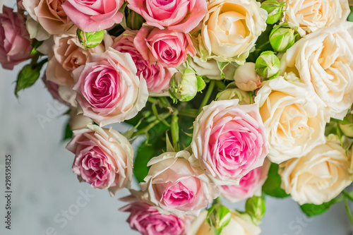 Background of bouquet of pink blooming rose bush