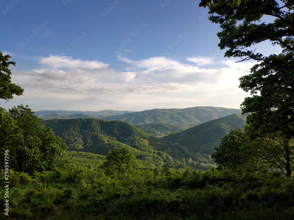 Green forest on the ridge Kotch