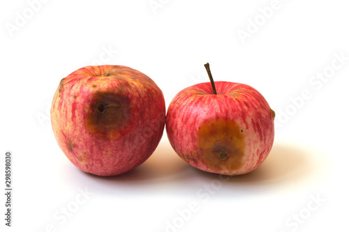Ugly apples. Two red and yellow spoiled apples isolated on a white background. Trendy ugly food concept. The problem of food waste.