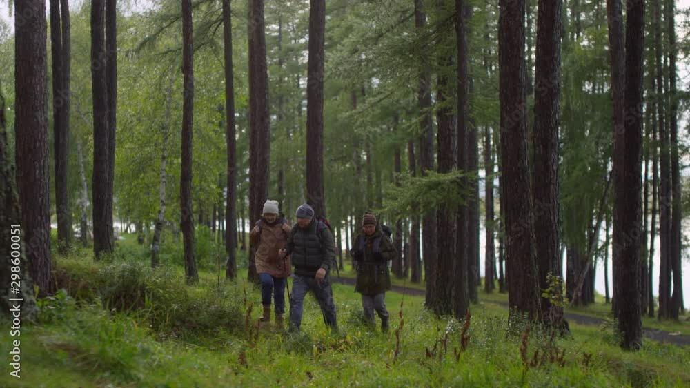 Male hiker with pole and backpack walking with two senior women through the forest on autumn day Male hiker with pole and backpack walking with two senior women through the forest on autumn day