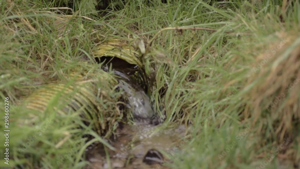 Perforated land drainage pipes damaged and in disrepair Perforated land drainage pipes damaged and in disrepair