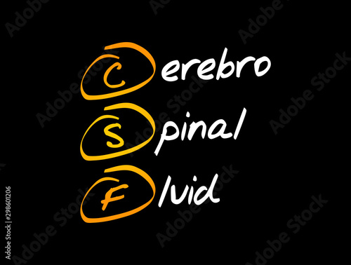 CSF - cerebrospinal fluid acronym, medical concept background