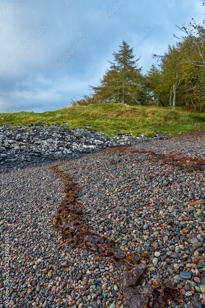The small pebble beach of Dunstaffnage Castle, steeply shelving and marked with a seaweed and kelp high tide line on the foreshore. The small pebble beach of Dunstaffnage Castle, steeply shelving and marked with a seaweed and kelp high tide line on the foreshore.