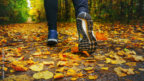 Jogger s feet in blue sneakers close up. A woman athlete run in the autumn forest. Jogging in an amazing autumn forest strewn with fallen leaves