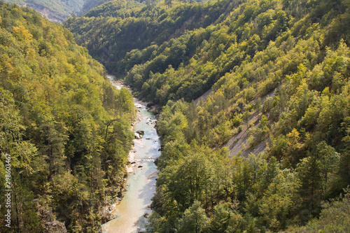 Mountain river in a canyon in the mountains of Montenegro. Selective focus.