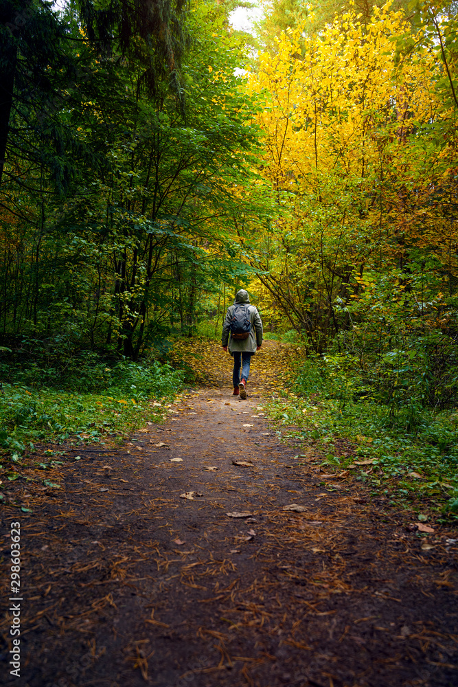 A man with backpack walks in the amazing autumn forest. Hiking alone along autumn forest paths. Travel concept.